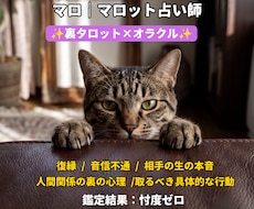マロット占い！音信不通・本音…忖度0で鑑定します イメージ1