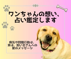ペット占いで愛犬のこと・気持ちが解かり			ます 愛犬があなたの家族になった理由、運命のストーリーが分る✨