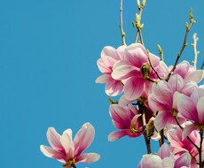 愚痴、悩み、話し相手、カウンセリングします イメージ1