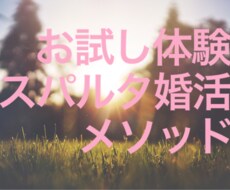 スパルタ婚活メソッドがお試しできます イメージ1