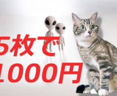 こうだったらよかったのに…　写真のお悩み解決します イメージ1