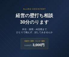 一人社長の経営壁打ち相談、30分のりますます イメージ1