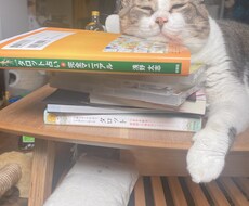 タロットによりあなたのお悩み解決ます イメージ1