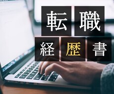 IT業界への転職。職務経歴書・履歴書添削します 現役外資IT面接官が書類通過をサポート！実績多数あり