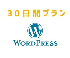 2回目ご購入者様限定で承ります 30日間のプランになります。ブログ記事の装飾など