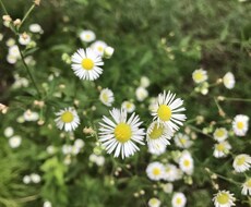 モヤモヤしている気持ちをふんわり受け止めます イメージ1