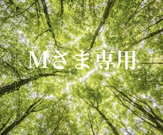 m様専用となります Instagram個別リールをお作りします