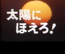 フェニックスナンバーワン占います 真実とは何かを伝え続ける方の弟子として手ほどきを受けました