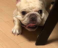 お悩みを聞きます イメージ1
