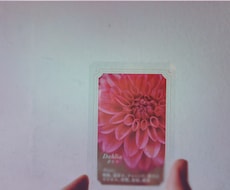 可愛くて印象に残る透明名刺をデザインします クリア素材のカードに可愛いをプラス！こだわりをアピール