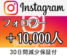 インスタのフォロワー 10,000人増加します イメージ1