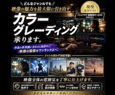 どんなジャンルでもカラーグレーディングします 安心！動画の長さで料金が決まります！
