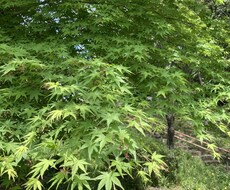 あなたの悩み傾聴いたします イメージ1