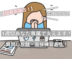 1週間サブスク！あなた専属で就活・転職を支えます 会社役員を独占！質問し放題、面接練習もあり！