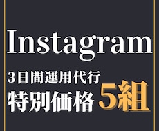 法人Instagram3日間まるっと運用代行します イメージ1