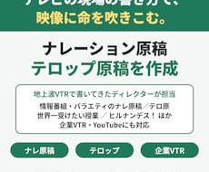 テレビ流のナレーション原稿・テロップ原稿を書きます イメージ1