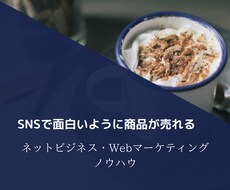 ネットビジネスでの商品販売のノウハウ教えます イメージ1