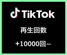 TikTok再生回数＋10000回〜増やします イメージ1