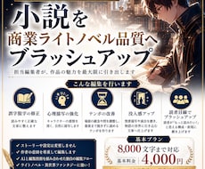 小説を商業品質へブラッシュアップします イメージ1
