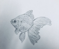 海の生き物や雰囲気をデザイン致します イメージ1