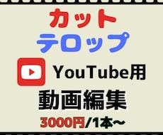 カットやテロップ入れの動画編集を短期間で行います イメージ1
