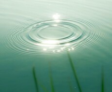 彼の気持ちと未来の行方カードが静かに教えてくれます イメージ1