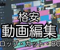 YouTube動画編集を2本3000円で代行します イメージ1