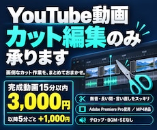 YouTube動画のカット編集を代行します イメージ1