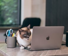 些細なお悩みでも何でもご相談にのります イメージ1