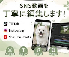 SNSショート動画を編集します SNS動画を丁寧・迅速に編集します