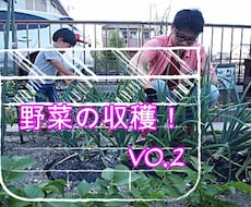 某テレビ番組の監修者が家庭菜園の悩みお答えします イメージ1
