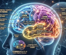高次脳機能障害についてお教えします イメージ1