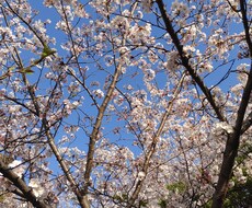 明日のあなたの笑顔のために、お話お聞きします イメージ1