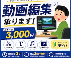 見やすく伝わる動画編集します イメージ1