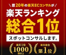 楽天で売れない・利益が残らない原因診断します SOY企業店長（2009）SOA企業CVR責任者（2013）