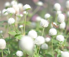 なんでもお話し聞きます イメージ1