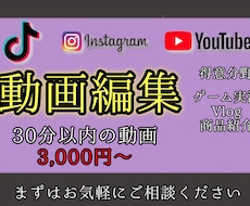 各種SNS投稿のための動画編集を行います イメージ1