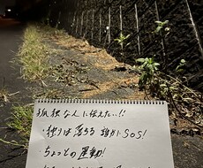 何かを話したい方ぜひ聞きます イメージ1