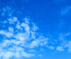 現役農家が教える！代掻きの基本・コツを解説します 農家直伝！失敗しない方法も教えます！
