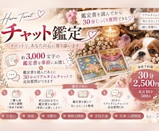 事前鑑定＋30分チャットでお悩みを深く占います イメージ1