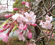 いろんなお話聞きます イメージ1
