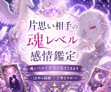 片思い相手の魂レベル感情鑑定します イメージ1