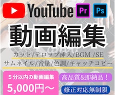 YouTube動画編集します ⭐︎プラチナランク⭐︎お気に入り登録の方は1,000円割引！