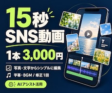 SNS用15秒ショート動画を編集します イメージ1