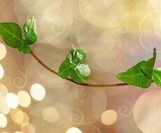ご自分がよくわからないというあなたへ イメージ1