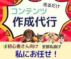 即販売できるコンテンツをあなたに代わって作成します イメージ1
