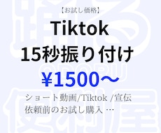15秒ダンス振り付けします イメージ1