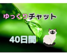 ４０日間いつもそばにいます イメージ1