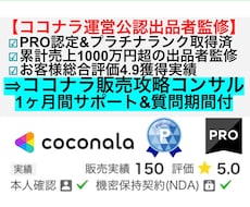 ココナラ副業で稼いだコツを伝授&アドバイスします ココナラコンサル：販売戦略・攻略法・マーケ・売れる方法・裏技