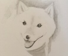ペット似顔絵描きます イメージ1